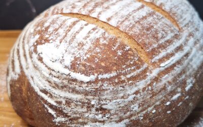 Bad Carbs? Better Think Again – How Picky Eaters Can Benefit from Good Carbs.