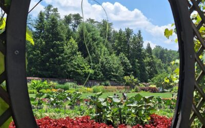 How to Feed a Picky Eater on a 7-State Roadtrip? That’s How We Managed It.